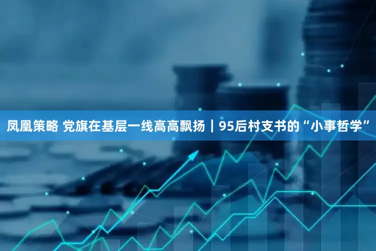 凤凰策略 党旗在基层一线高高飘扬｜95后村支书的“小事哲学”