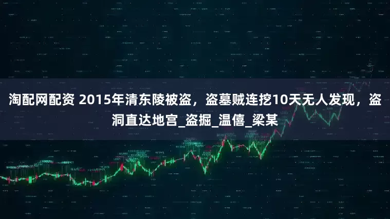 淘配网配资 2015年清东陵被盗，盗墓贼连挖10天无人发现，盗洞直达地宫_盗掘_温僖_梁某