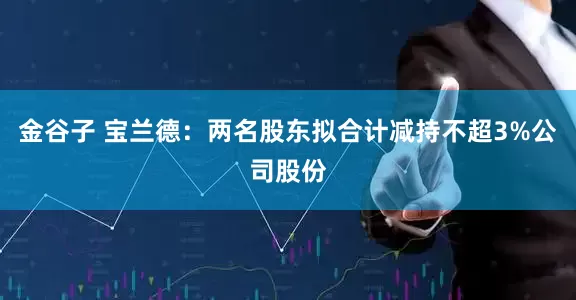 金谷子 宝兰德：两名股东拟合计减持不超3%公司股份