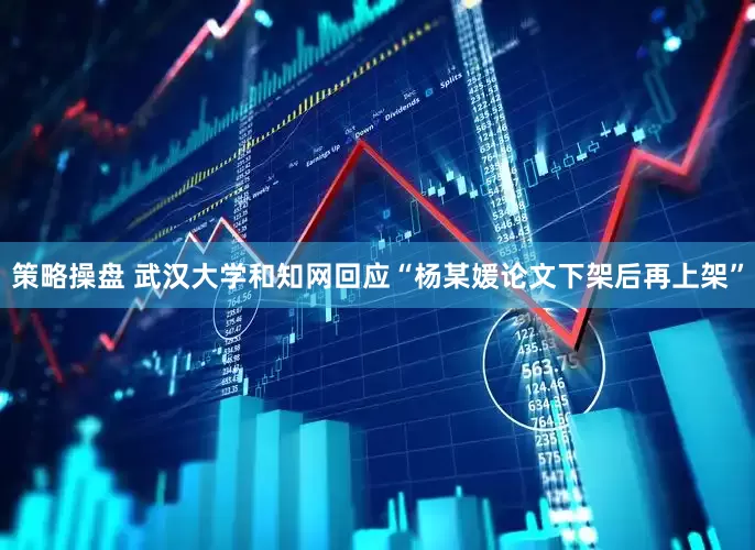 策略操盘 武汉大学和知网回应“杨某媛论文下架后再上架”