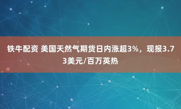 铁牛配资 美国天然气期货日内涨超3%，现报3.73美元/百万英热