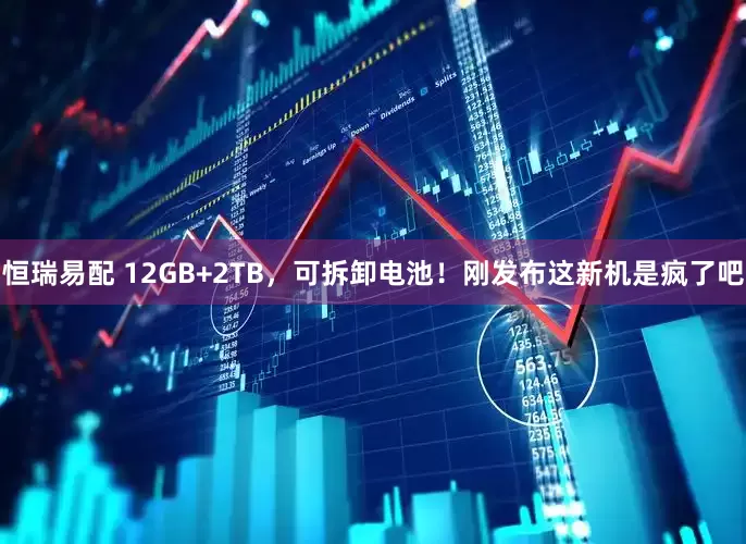 恒瑞易配 12GB+2TB，可拆卸电池！刚发布这新机是疯了吧